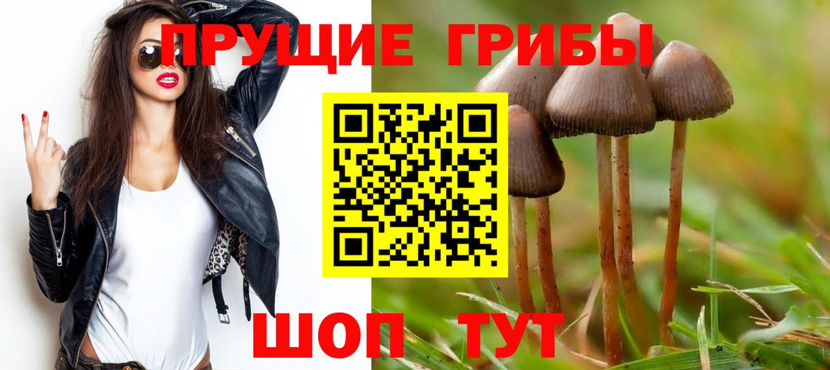 Ликино-Дулёво  Псилоцибиновые грибы Cubensis  Вход с VPN 