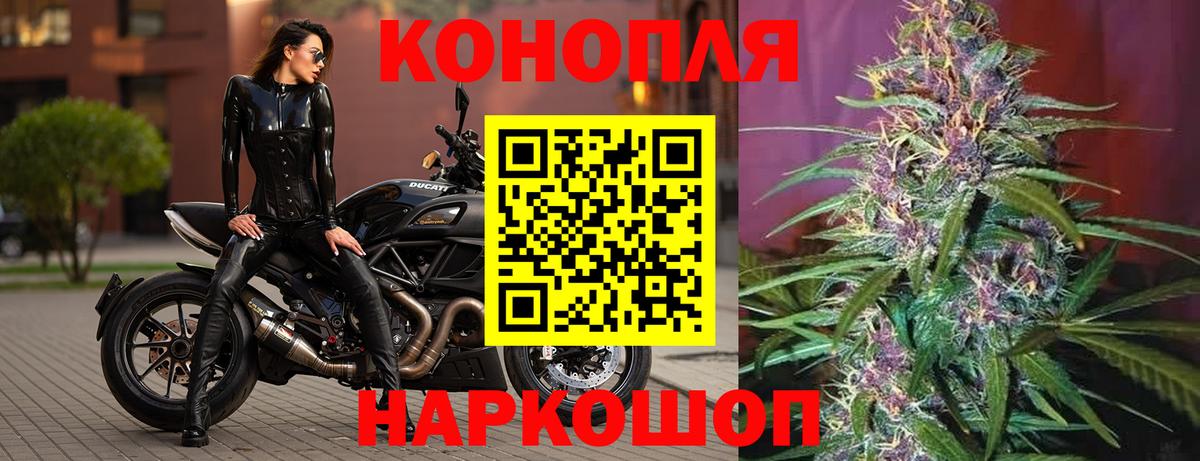 Каннабис сатива Ликино-Дулёво